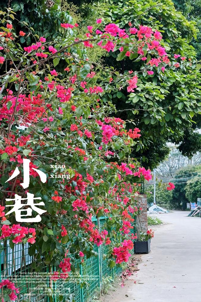 松湖春韵，巾帼绽风华 —— 三八活力团建行