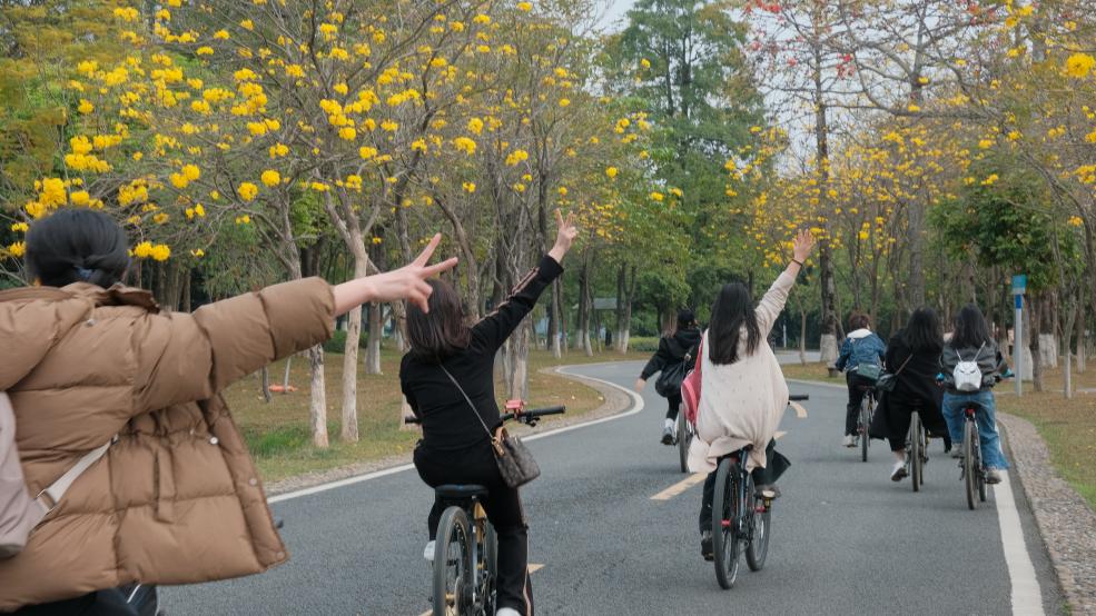 松湖春韵，巾帼绽风华 —— 三八活力团建行