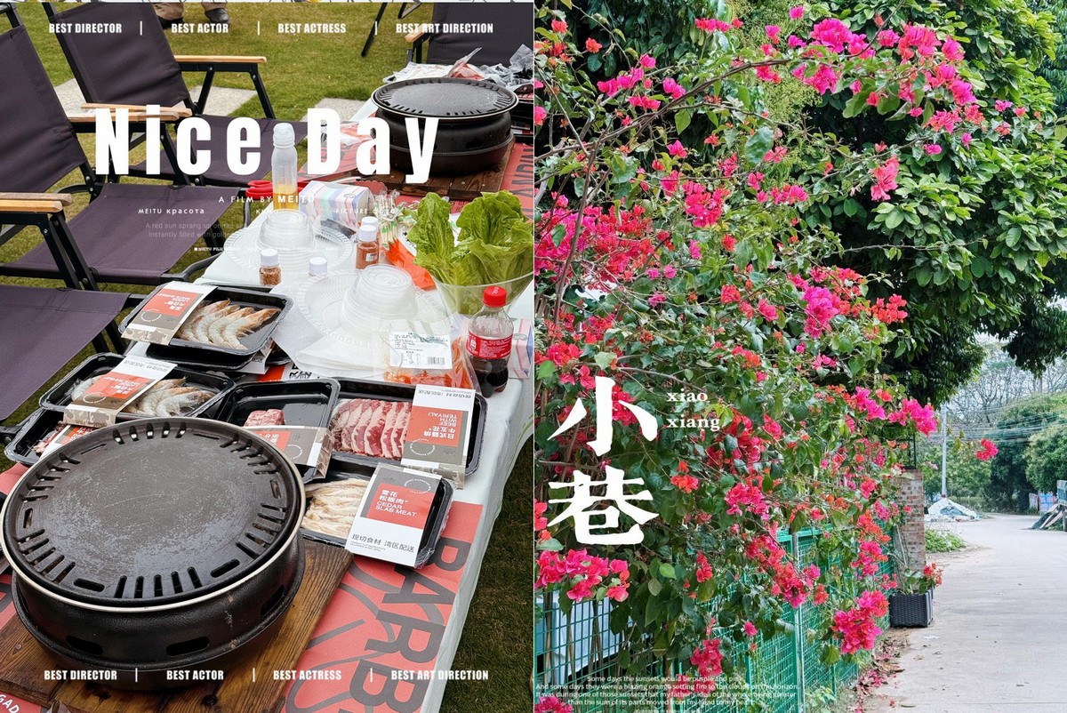 松湖春韵，巾帼绽风华 —— 三八活力团建行